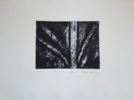 Yago, Untitled 225, 2000, engraving on paper, 70×50, 225